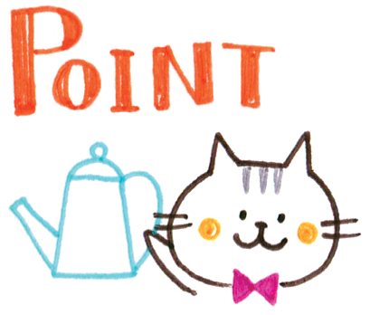 POINT cat image