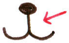 nose